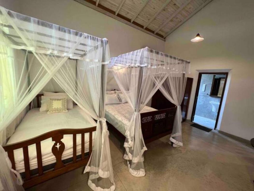 Wattala Villa- The Guardian Bungalow Exterior foto